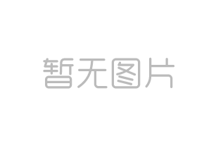 vision与version区别 vision和version的区别 