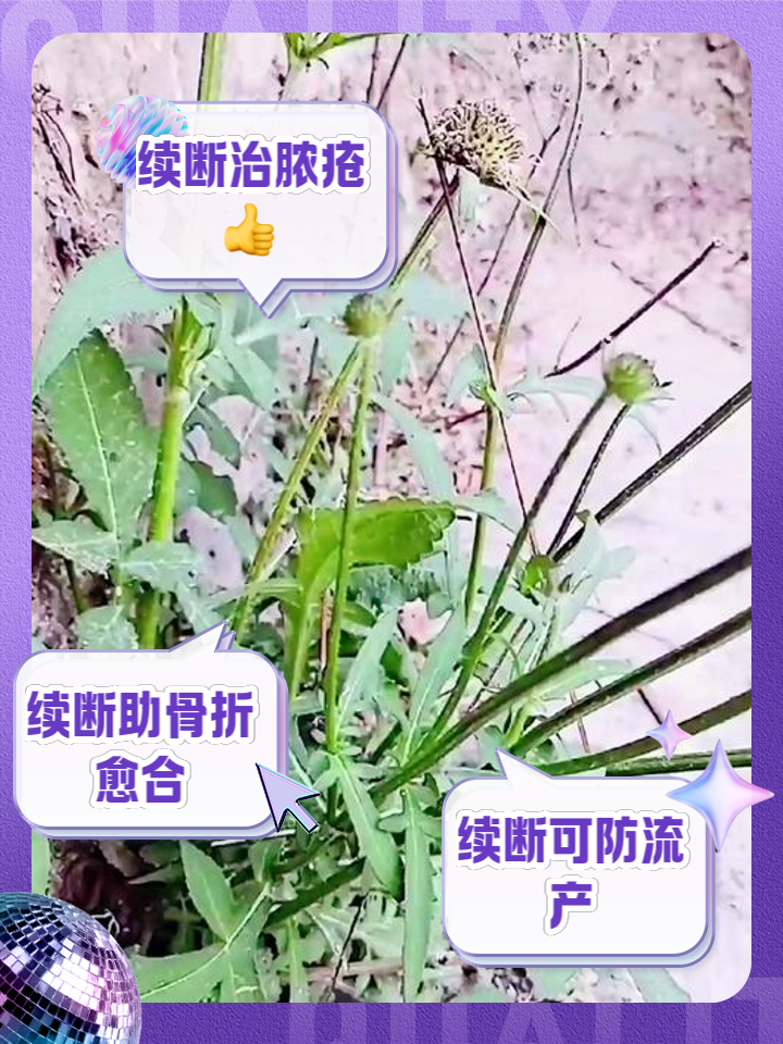 断针什么区别 断针的原因及处理方法 