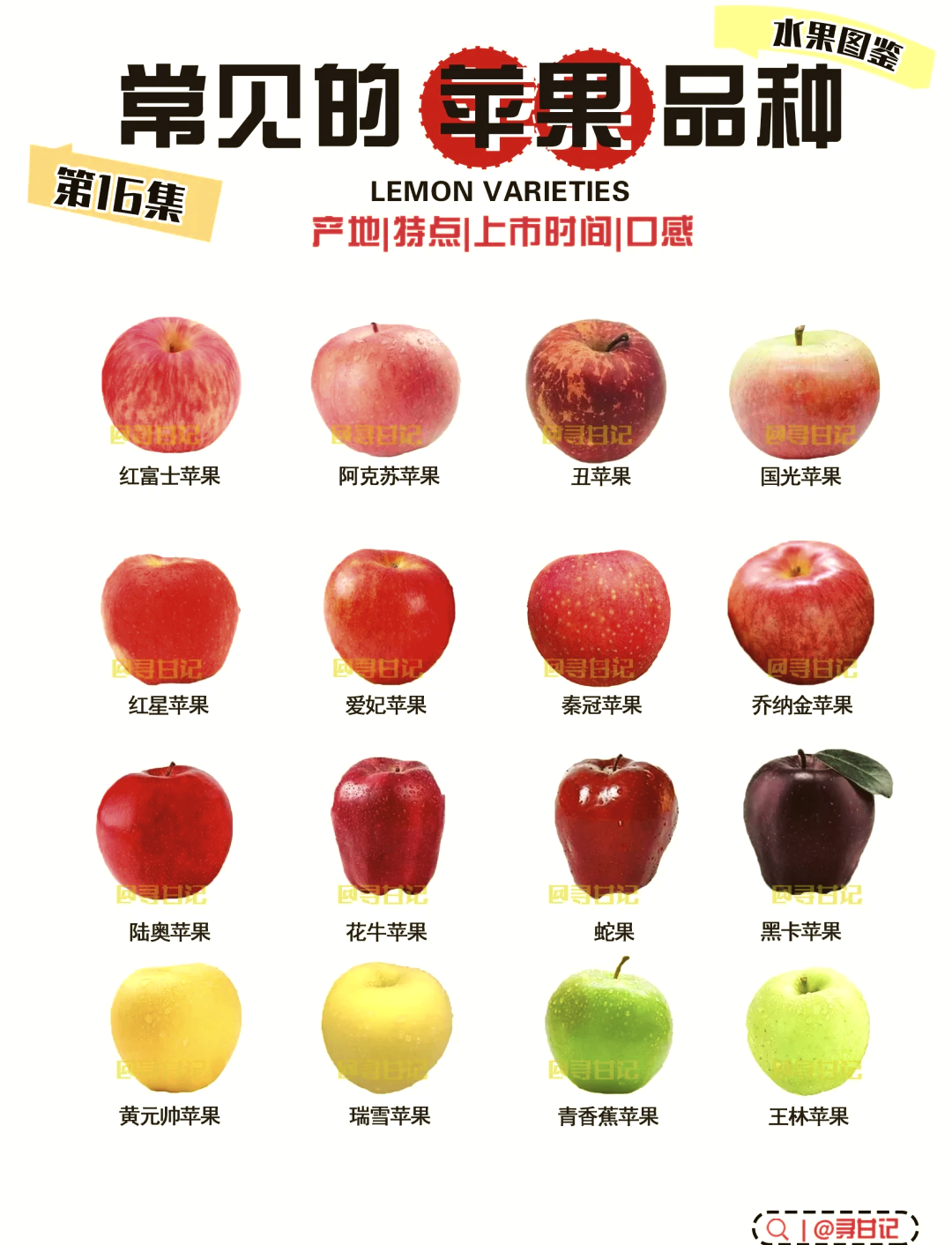 苹果型号区别国家 iphone型号国家大全 