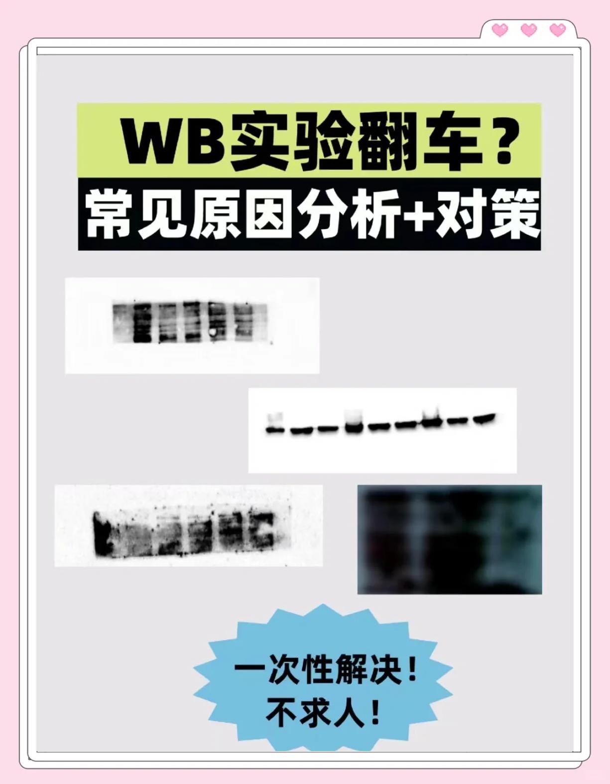 rbwb区别 rb+和wb+ 